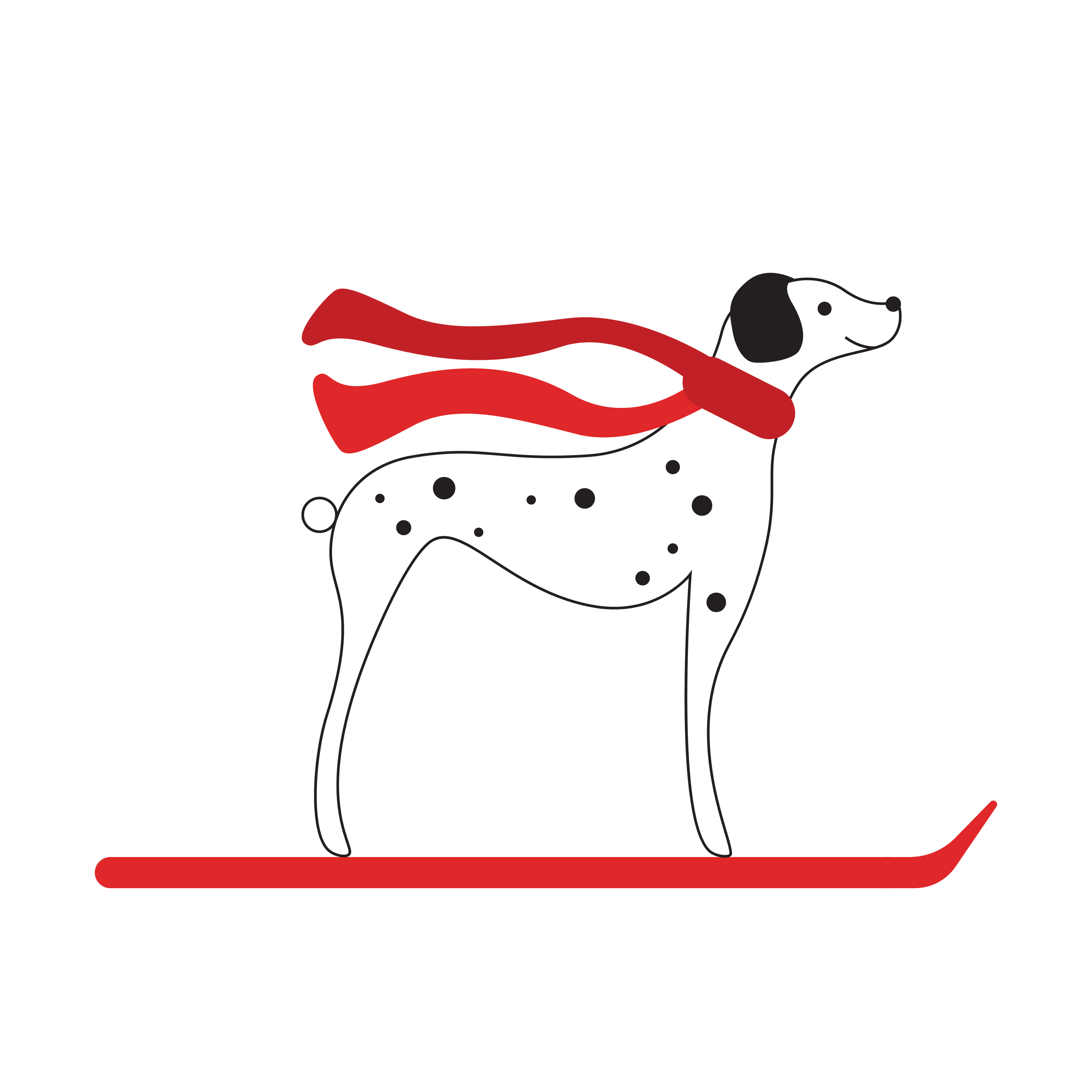 Dalmatian dog with black spots standing on a red sled, wearing a flowing red scarf.